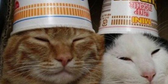 Imagem do grupo de WhatsApp ❤️🫰🏻・Novas Amizades・🫰🏻❤️