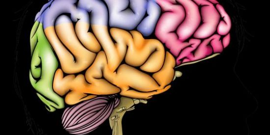 Imagem do grupo de WhatsApp 👩🏻‍🎓Terapeuta Aldy Zarrefhy