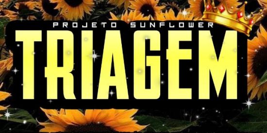 Imagem do grupo de WhatsApp 🌻◽TRIAGEM SUNFLOWER◽🌻
