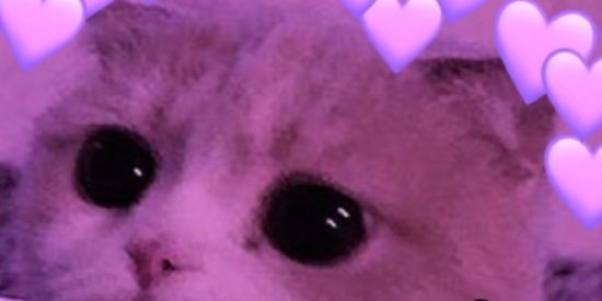 Imagem do grupo de WhatsApp 💖😋 MELHOR GRUPO DO MUNDO ENTRA AIIH