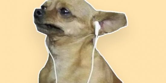 Imagem do grupo de WhatsApp Fazer Novas Amizades 😶‍🌫❤️