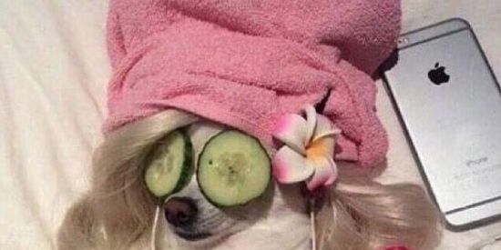 Imagem do grupo de WhatsApp Otarios🫠❤️✨