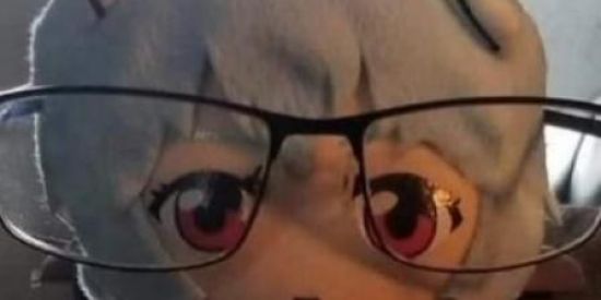 Imagem do grupo de WhatsApp BORA SEM AMIGUINHO POW