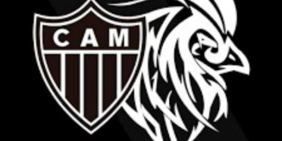 Imagem do grupo de WhatsApp Aqui e Galo 🐓