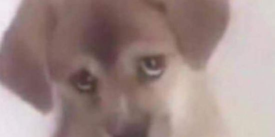 Imagem do grupo de WhatsApp ENTREM NA DESCRIÇÃO