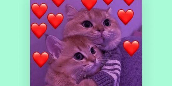 Imagem do grupo de WhatsApp Amizade 🫠