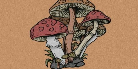 Imagem do grupo de WhatsApp Mr.s Lovermans