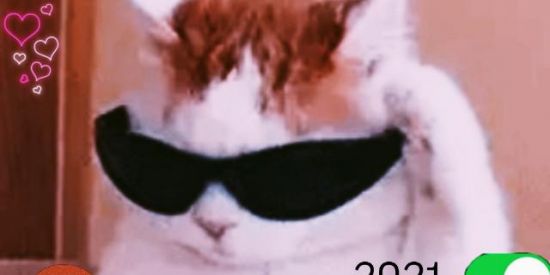 Imagem do grupo de WhatsApp F̸i̸g̸u̸r̸i̸n̸h̸a̸s̸