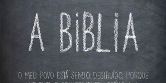 Imagem do grupo de WhatsApp 🔰 VOCÊ CONHECE A BÍBLIA?📖