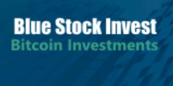 Imagem do grupo de WhatsApp Blue Stock Investimento 🤑