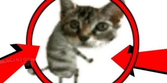 Imagem do grupo de WhatsApp ZUERA E AMIZADE xd