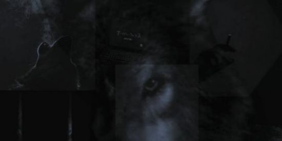 Imagem do grupo de WhatsApp 🐺𝘞𝘌𝘙𝘌 𝘞𝘖𝘓𝘍𝘍🐺  🌑 🌗 🌖 🌕