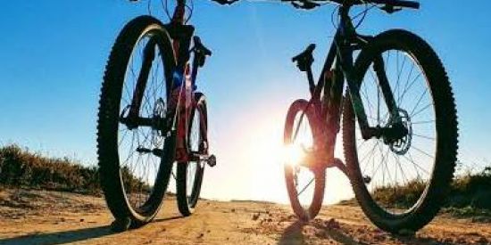 Imagem do grupo de WhatsApp 🇧🇷🚲TURMA DO PEDAL BRASIL🚲