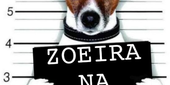 Imagem do grupo de WhatsApp 😈⃝༘⃕𝚉𝙾𝙴𝙸𝚁𝙰 𝙽𝙰 𝙰𝚃𝙸𝚅𝙰😎⃝༘⃕