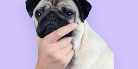 Imagem do grupo de WhatsApp Novas Amizades🤭🫰