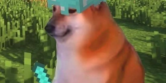 Imagem do grupo de WhatsApp Servidor 🐕  gordo minecra
