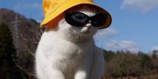 Imagem do grupo de WhatsApp •/₳₥łⱫ₳ĐɆ ₵ØⱠØⱤłĐ₳₳/•🔥🌈