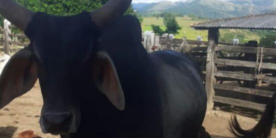 Imagem do grupo de WhatsApp 🌶️NAMORO OU AMIZADE😈