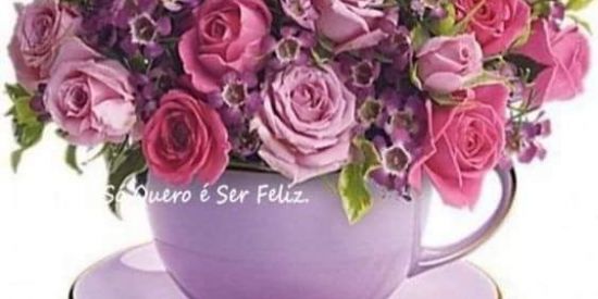 Imagem do grupo de WhatsApp Amigos sem fronteiras