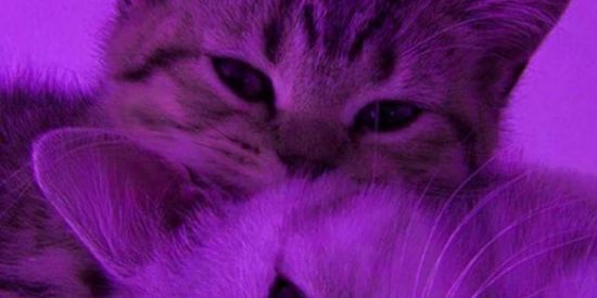 Imagem do grupo de WhatsApp Amizade ou namoro 🤫