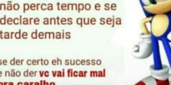 Imagem do grupo de WhatsApp Dicas do sonic🍃