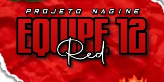 Imagem do grupo de WhatsApp CONVITE NAGINE