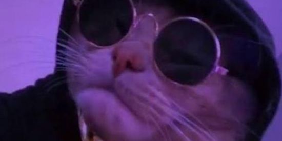 Imagem do grupo de WhatsApp ♤°𝔗○𝔭$'𝔉𝔯𝔦𝔢𝔫𝔡°♤