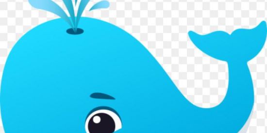 Imagem do grupo de WhatsApp Baleia azul 🐳