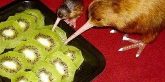 Imagem do grupo de WhatsApp 𝐒𝐇𝐈𝐓𝐏𝐎𝐒𝐓 𝟐.𝟎•-•