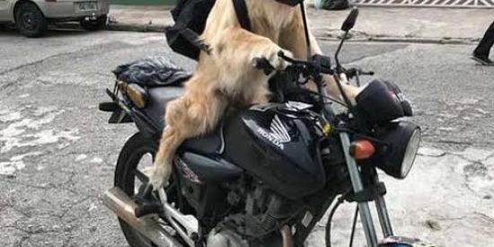 Imagem do grupo de WhatsApp Grupo de figurinhas memes