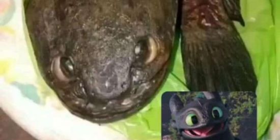 Imagem do grupo de WhatsApp 🤞🏼Amizade verdadeira🤞🏼