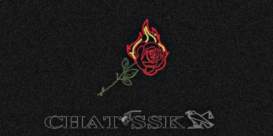 Imagem do grupo de WhatsApp ƬƊƁ🇧🇪 GASTAÇÃO