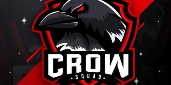 Imagem do grupo de WhatsApp CROW-SQUAD