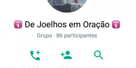 Imagem do grupo de WhatsApp Triagem para o principal👇