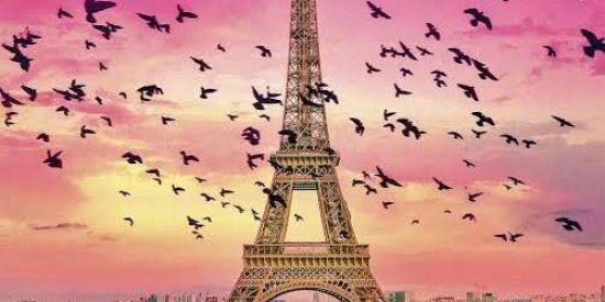 Imagem do grupo de WhatsApp Amizade é todo 💙🏳️‍🌈🏳️