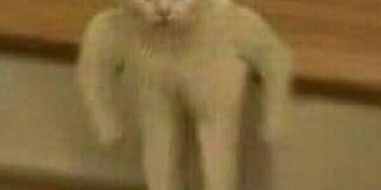 Imagem do grupo de WhatsApp Web amizades 😗 e desocupados😐