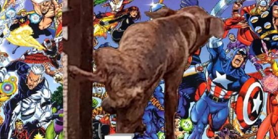 Imagem do grupo de WhatsApp ⚝꙰⇜𝔣𝔧᭫𝔤𝔲𝔨𝔦᭫𝔫𝔥𝔞𝔰𝒯𝒪𝒮꣦⛥꙰