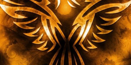 Imagem do grupo de WhatsApp Time do fênix