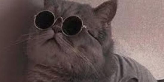 Imagem do grupo de WhatsApp ARMÁRIO