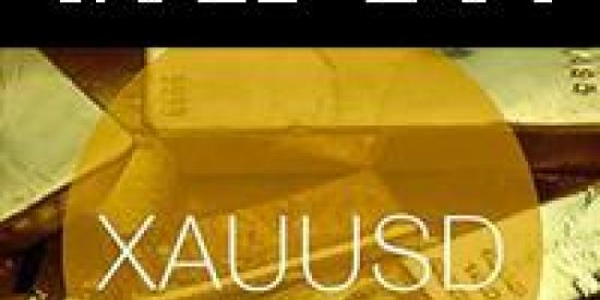 Imagem do grupo de WhatsApp GOLD BOT XAUUSD