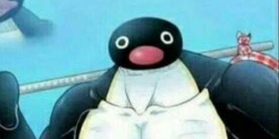 Imagem do grupo de WhatsApp Músculos