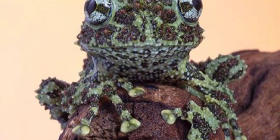 Imagem do grupo de WhatsApp ~|•AMIZADE 24HRS•|~