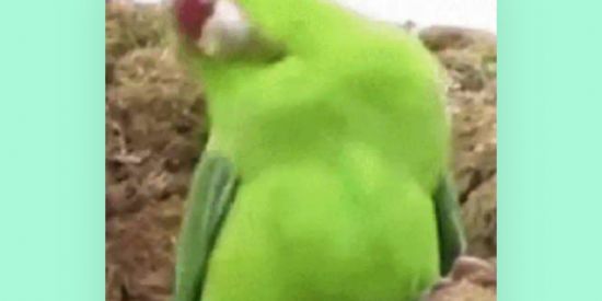 Imagem do grupo de WhatsApp Zuerinhaa🫠🫠