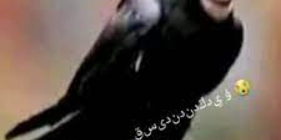 Imagem do grupo de WhatsApp Adolescentes do ES (DDD 27-28)