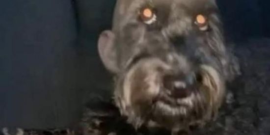 Imagem do grupo de WhatsApp fofoca liberada💪