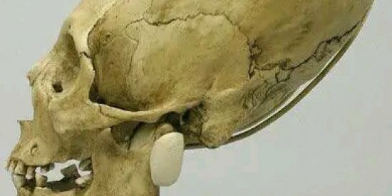 Imagem do grupo de WhatsApp Políticas Alienígenas