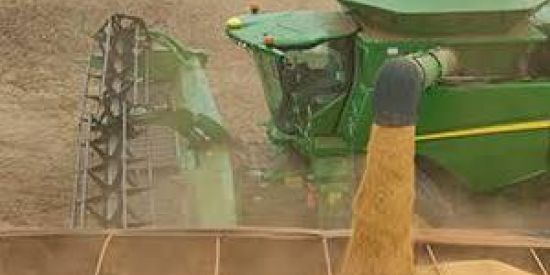 Imagem do grupo de WhatsApp Agro paixão 🚜🌾