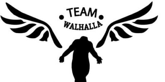 Imagem do grupo de WhatsApp Valhalla