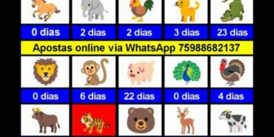 Imagem do grupo de WhatsApp Alex premiações 4,0 pra 80 metade 2,0/40