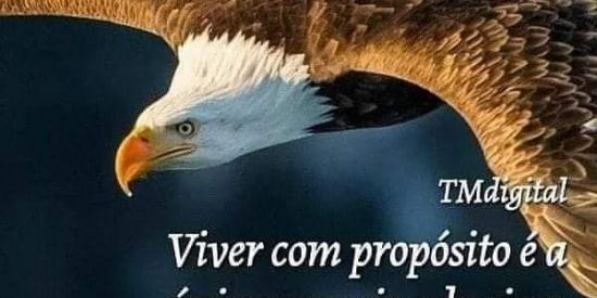 Imagem do grupo de WhatsApp Deus e fiel